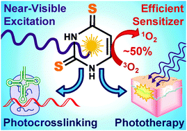 Graphical abstract: Increase in the photoreactivity of uracil derivatives by doubling thionation