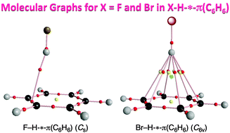 Graphical abstract: Dynamic and static behavior of hydrogen bonds of the X–H⋯π type (X = F, Cl, Br, I, RO and RR′N; R, R′ = H or Me) in the benzene π-system, elucidated by QTAIM dual functional analysis
