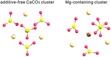 Graphical abstract: The effect of Mg2+ incorporation on the structure of calcium carbonate clusters: investigation by the anharmonic downward distortion following method