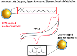 Graphical abstract: Capping agent promoted oxidation of gold nanoparticles: cetyl trimethylammonium bromide