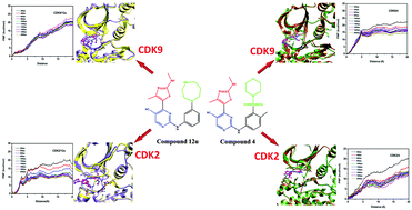 Graphical abstract: Molecular principle of the cyclin-dependent kinase selectivity of 4-(thiazol-5-yl)-2-(phenylamino) pyrimidine-5-carbonitrile derivatives revealed by molecular modeling studies