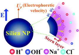 Graphical abstract: Electrophoresis of pH-regulated nanoparticles: impact of the Stern layer