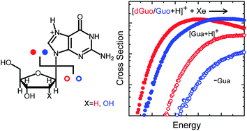 Graphical abstract: Mechanisms and energetics for N-glycosidic bond cleavage of protonated 2′-deoxyguanosine and guanosine
