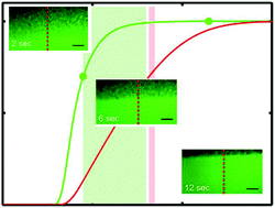 Graphical abstract: Spatiotemporal dynamics of solvent-assisted lipid bilayer formation