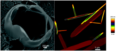 Graphical abstract: Micro- and nano-tubules built from loosely and tightly rolled up thin sheets