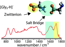 Graphical abstract: Hydrogen bond mediated stabilization of the salt bridge structure for the glycine dimer anion