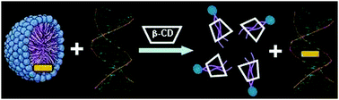 Graphical abstract: Cyclodextrin induced controlled delivery of a biological photosensitizer from a nanocarrier to DNA