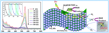 Graphical abstract: S-doped mesoporous nanocomposite of HTiNbO5 nanosheets and TiO2 nanoparticles with enhanced visible light photocatalytic activity