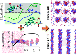 Graphical abstract: CHARMM force field parameterization protocol for self-assembling peptide amphiphiles: the Fmoc moiety