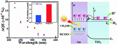 Graphical abstract: Effect of band structure on the hot-electron transfer over Au photosensitized brookite TiO2