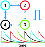 Graphical abstract: Dynamical regimes of four almost identical chemical oscillators coupled via pulse inhibitory coupling with time delay