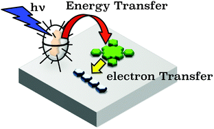 Graphical abstract: Sequential energy and electron transfer in a three-component system aligned on a clay nanosheet