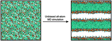 Graphical abstract: Simulation of lipid bilayer self-assembly using all-atom lipid force fields