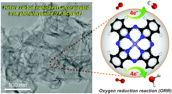 Graphical abstract: Heterocarbon nanosheets incorporating iron phthalocyanine for oxygen reduction reaction in both alkaline and acidic media