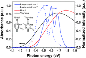 Graphical abstract: Ultrafast dynamics of uracil and thymine studied using a sub-10 fs deep ultraviolet laser