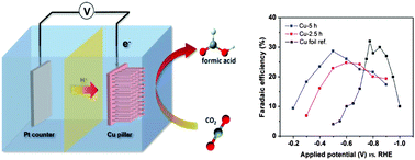 Graphical abstract: Hierarchical Cu pillar electrodes for electrochemical CO2 reduction to formic acid with low overpotential