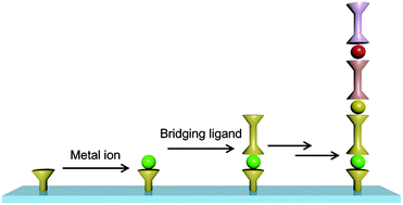 Graphical abstract: π-Conjugated bis(terpyridine)metal complex molecular wires