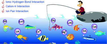 Graphical abstract: Tuning interionic interaction for highly selective in vivo analysis