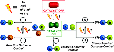 Graphical abstract: Artificial switchable catalysts