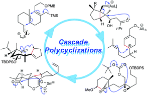 Graphical abstract: Cascade polycyclizations in natural product synthesis