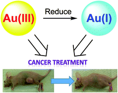 Graphical abstract: Chemical biology of anticancer gold(iii) and gold(i) complexes