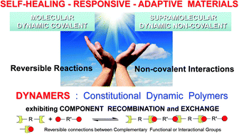 Graphical abstract: DYNAMERS: dynamic polymers as self-healing materials