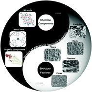 Graphical abstract: Recent progress of abrasion-resistant materials: learning from nature