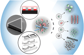 Graphical abstract: Nanofabricated structures and microfluidic devices for bacteria: from techniques to biology
