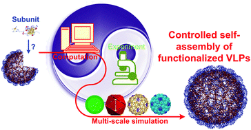Graphical abstract: Biomolecular engineering of virus-like particles aided by computational chemistry methods