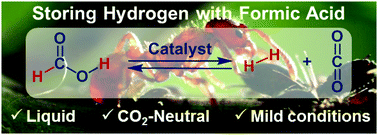 Graphical abstract: Formic acid as a hydrogen storage material – development of homogeneous catalysts for selective hydrogen release