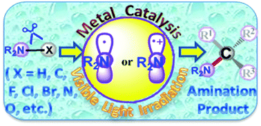 Graphical abstract: New amination strategies based on nitrogen-centered radical chemistry