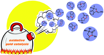 Graphical abstract: Au-Catalysed oxidative cyclisation