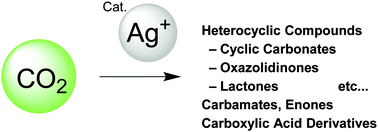 Graphical abstract: Silver-catalyzed carboxylation