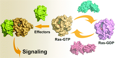 Graphical abstract: Drugging Ras GTPase: a comprehensive mechanistic and signaling structural view