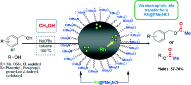 Graphical abstract: Polystyrene trimethyl ammonium chloride impregnated Rh(0) (Rh@PMe3NCl) as a catalyst and methylating agent for esterification of alcohols through selective oxidation of methanol