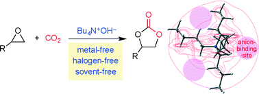 Graphical abstract: Quaternary ammonium hydroxide as a metal-free and halogen-free catalyst for the synthesis of cyclic carbonates from epoxides and carbon dioxide