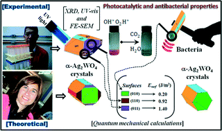 Graphical abstract: Facet-dependent photocatalytic and antibacterial properties of α-Ag2WO4 crystals: combining experimental data and theoretical insights