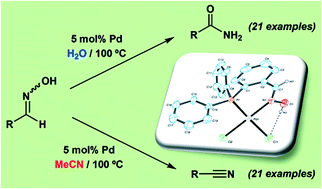 Graphical abstract: Palladium(ii) complexes with a phosphino-oxime ligand: synthesis, structure and applications to the catalytic rearrangement and dehydration of aldoximes