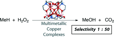 Graphical abstract: Re-evaluating selectivity as a determining factor in peroxidative methane oxidation by multimetallic copper complexes