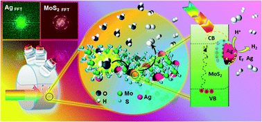Graphical abstract: Facile synthesis of a Ag/MoS2 nanocomposite photocatalyst for enhanced visible-light driven hydrogen gas evolution
