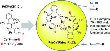 Graphical abstract: Palladium precatalysts containing meta-terarylphosphine ligands for expedient copper-free Sonogashira cross-coupling reactions
