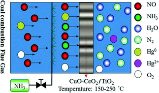 Graphical abstract: CuO–CeO2/TiO2 catalyst for simultaneous NO reduction and Hg0 oxidation at low temperatures