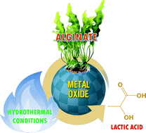 Graphical abstract: Hydrothermal conversion of macroalgae-derived alginate to lactic acid catalyzed by metal oxides