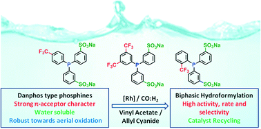 Graphical abstract: Strong π-acceptor sulfonated phosphines in biphasic rhodium-catalyzed hydroformylation of polar alkenes