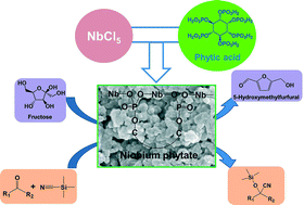Graphical abstract: Niobium phytate prepared from phytic acid and NbCl5: a highly efficient and heterogeneous acid catalyst