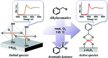 Graphical abstract: In situ-created Mn(iii) complexes active for liquid-phase oxidation of alkylaromatics to aromatic ketones with molecular oxygen