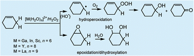 Graphical abstract: Oxidation of olefins with H2O2 catalysed by salts of group III metals (Ga, In, Sc, Y and La): epoxidation versus hydroperoxidation