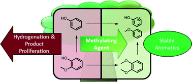Graphical abstract: Mapping reactivities of aromatic models with a lignin disassembly catalyst. Steps toward controlling product selectivity