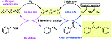 Graphical abstract: The cascade synthesis of α,β-unsaturated ketones via oxidative C–C coupling of ketones and primary alcohols over a ceria catalyst