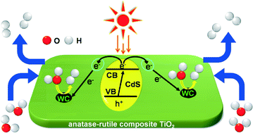 Graphical abstract: CdS quantum dots and tungsten carbide supported on anatase–rutile composite TiO2 for highly efficient visible-light-driven photocatalytic H2 evolution from water